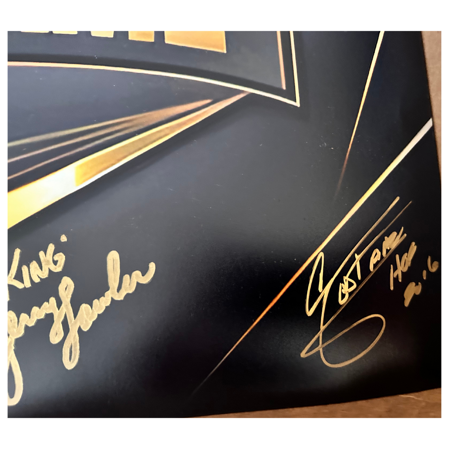Signed Black WWE Hall of Fame Photo 16x20 8 Signatures