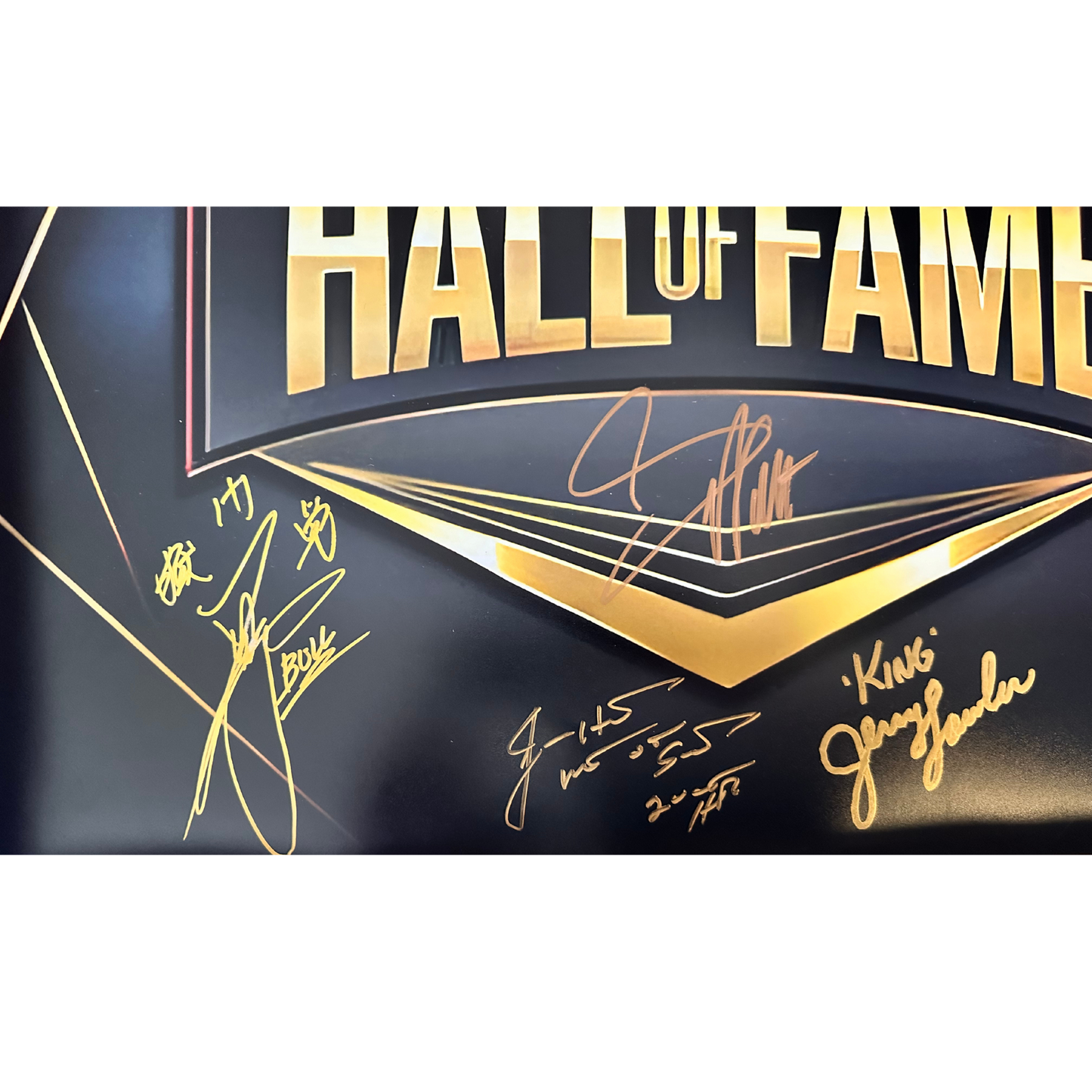 Signed Black WWE Hall of Fame Photo 16x20 8 Signatures