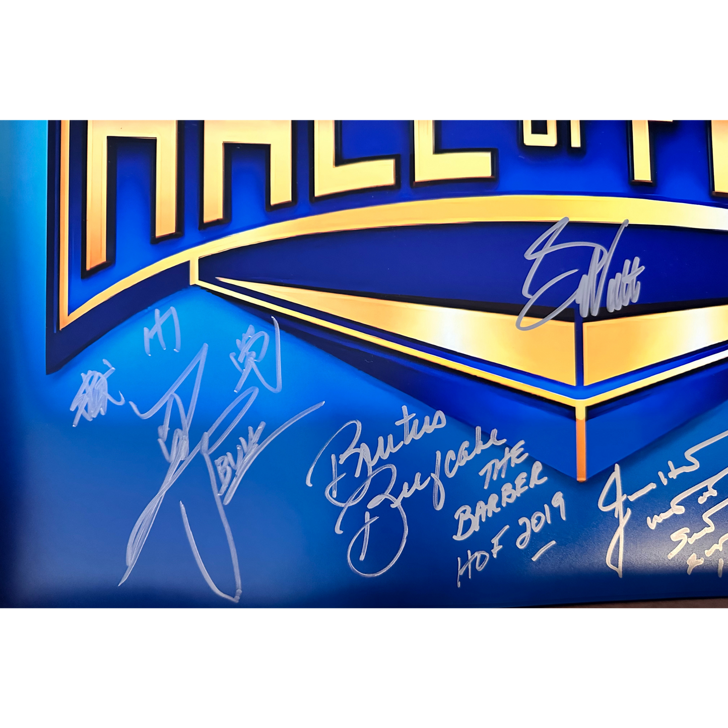 Signed Blue WWE Hall of Fame Photo 16x20 8 Signatures