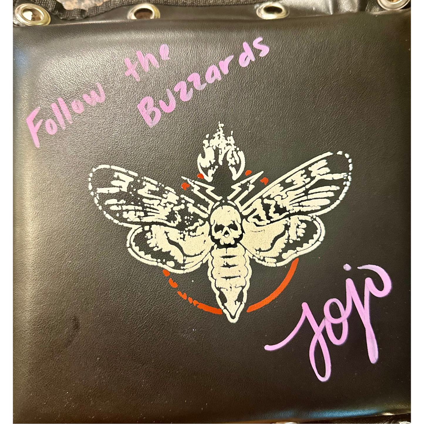 Custom Bray Wyatt Buzzards Turnbuckle Signed by Jojo