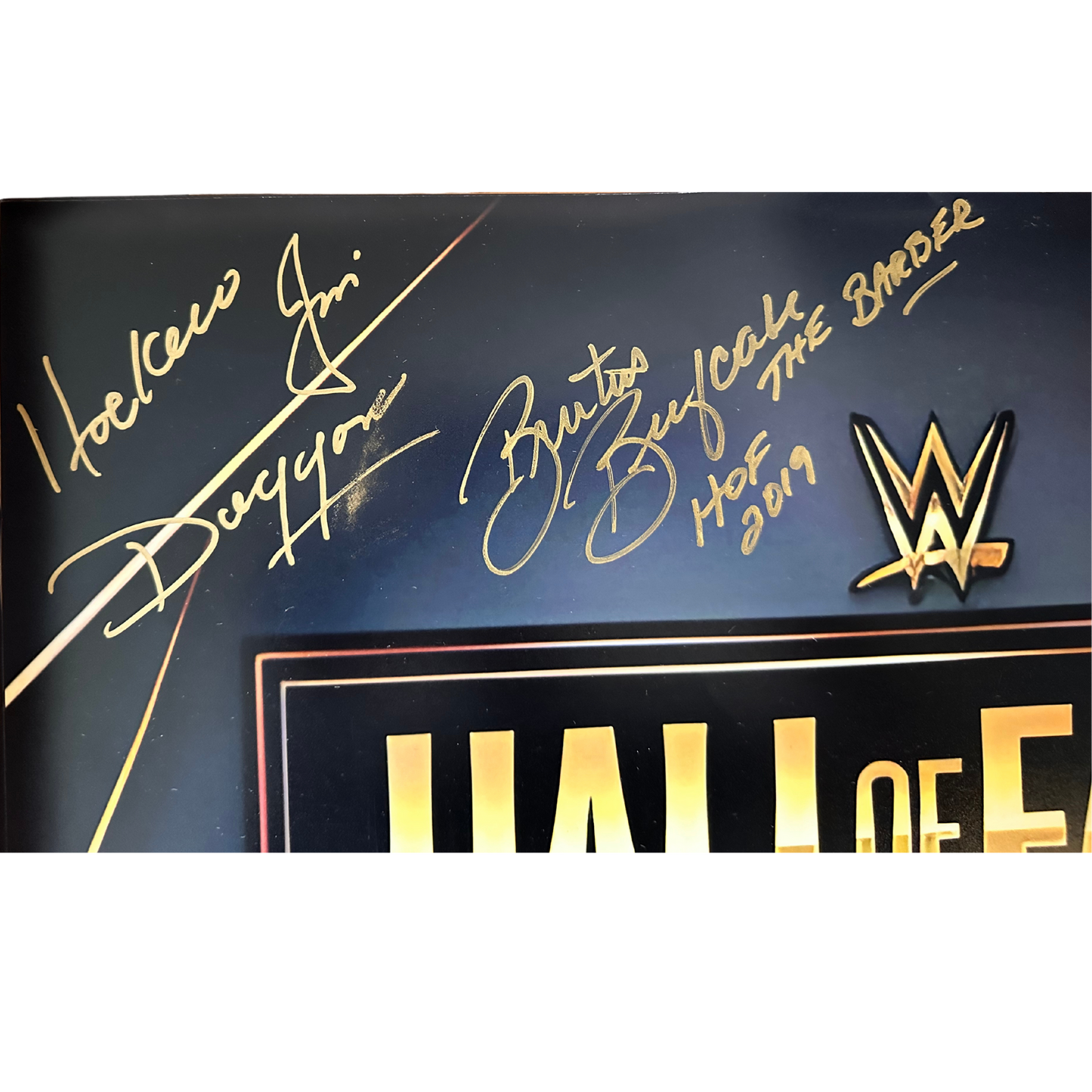 Signed Black WWE Hall of Fame Photo 16x20 8 Signatures