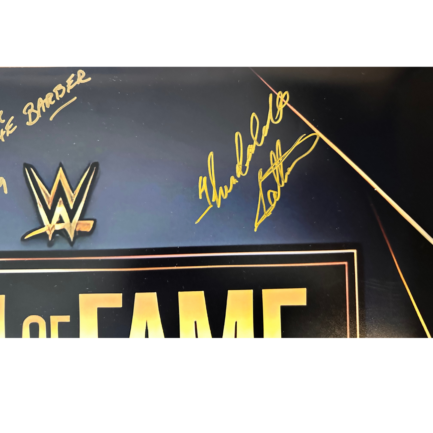 Signed Black WWE Hall of Fame Photo 16x20 8 Signatures